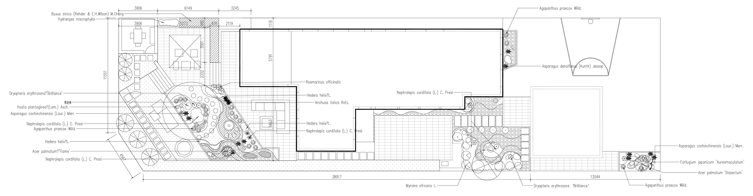 Design drawing / Selected planting information.