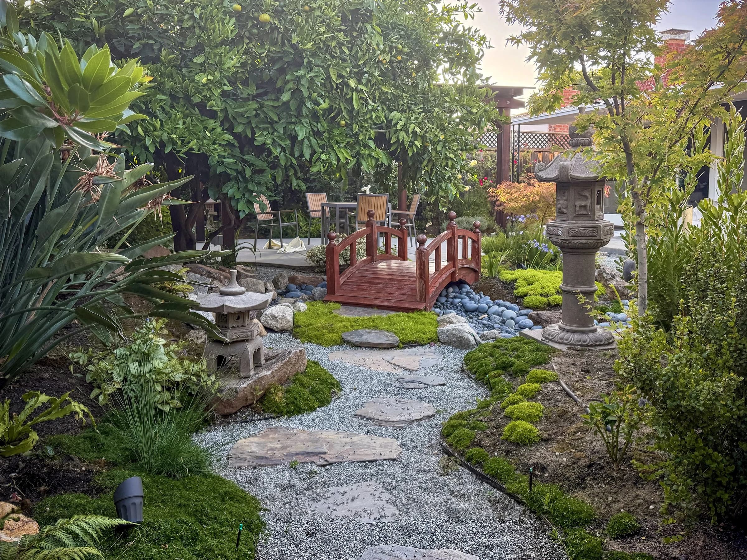 A completed Japanese-inspired garden in California with a red timber bridge, pale gravel and mature trees
